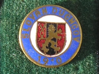 696_FOTBAL
