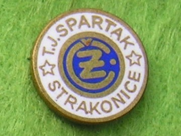 FOTBAL_100