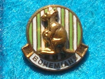 FOTBAL_313