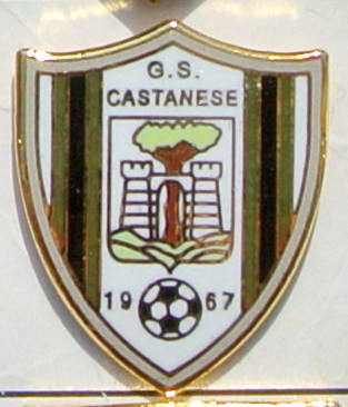 CASTANESSE GS