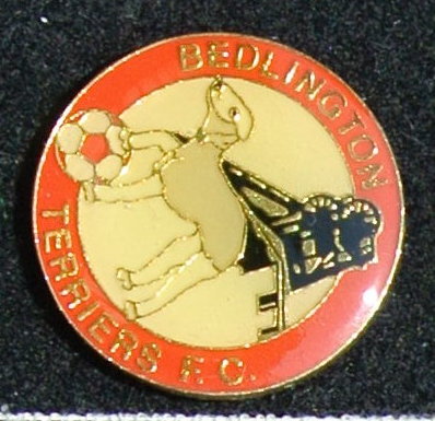 BEDLINGTON TERRIERS