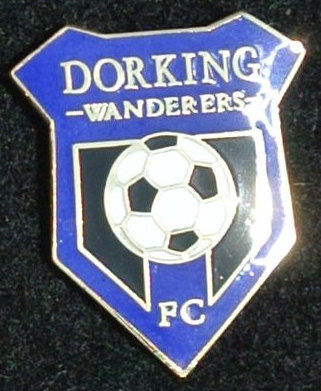 DORKING WANDERERS
