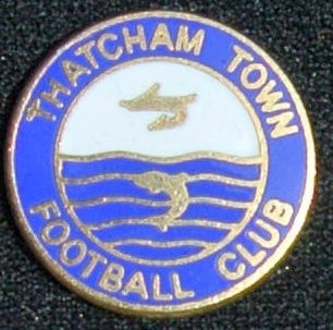 THATCHAM TOWN_2