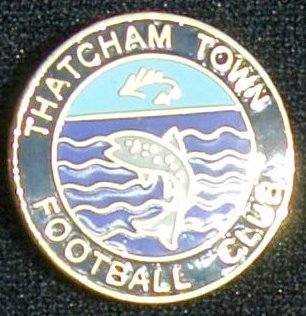 THATCHAM TOWN_3