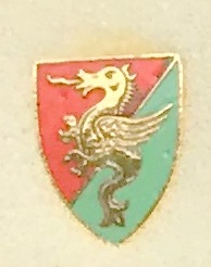 TERNANA_002