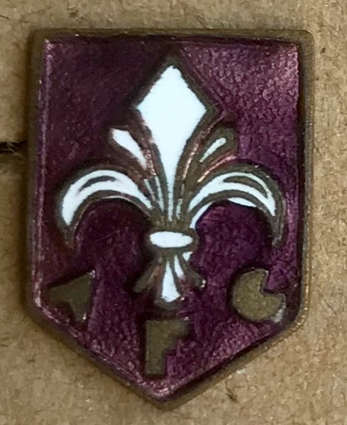 FIORENTINA_017