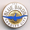 CARDIFF CITY_003