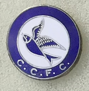 CARDIFF CITY_FC_17