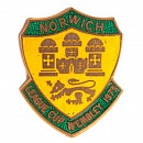 NORWICH CITY_14