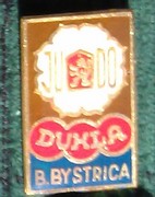 DUKLA_243