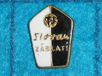 208_FOTBAL
