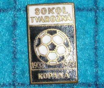 273_FOTBAL