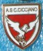 C.COCCINO AS