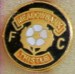 MEADOWBANK THISTLE