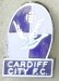 CARDIFF CITY_FC_01