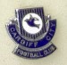 CARDIFF CITY_FC_15