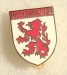 MIDDLESBROUGH_FC_18