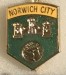 NORWICH CITY_FC_10