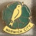 NORWICH CITY_FC_15