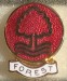 NOTTINGHAM FOREST_FC_12